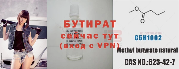 индика Инта