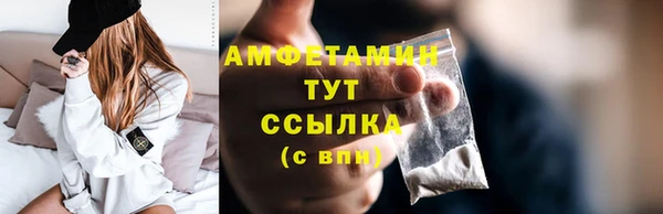 индика Снежногорск