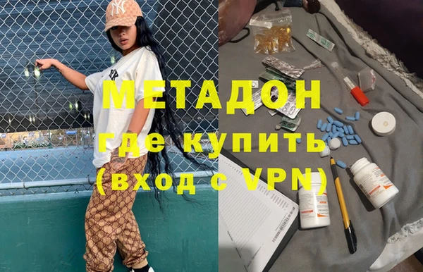 индика Инта