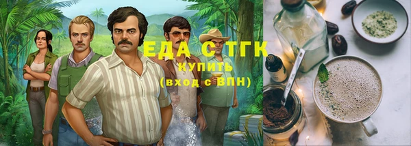 индика Инта