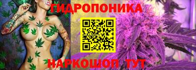 PSILOCYBIN Кумертау