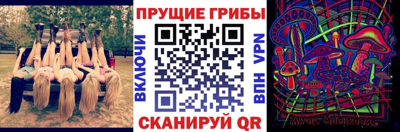 Псилоцибиновые грибы Psilocybine cubensis  Ишимбай 