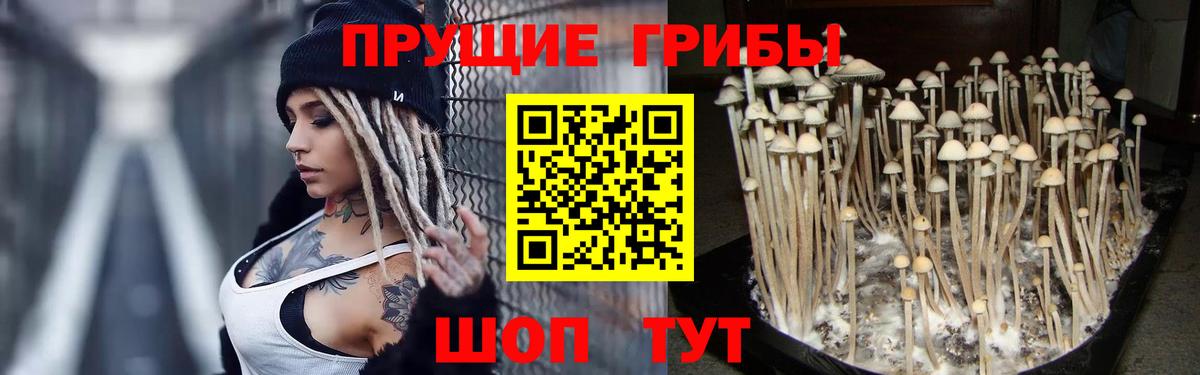 Галлюциногенные грибы прущие грибы  Вход с VPN  Ишимбай  Галлюциногенные грибы Psilocybine cubensis 